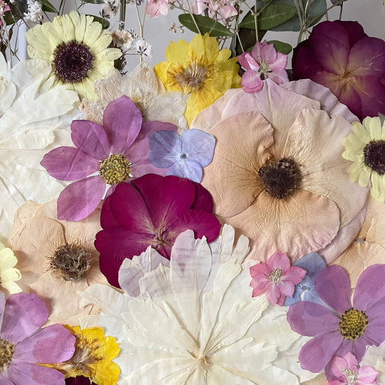 Where there is color, there is life