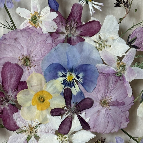 Tricolor symphony of flowers