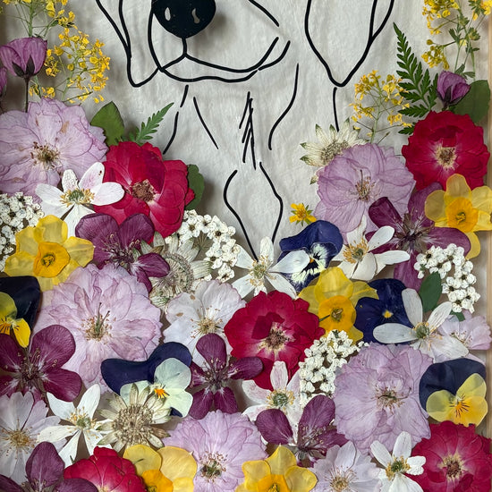 A furry friend