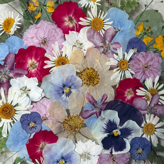 In the whirlwind of spring joy