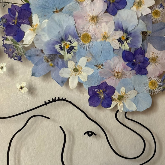 Ellie the Elephant