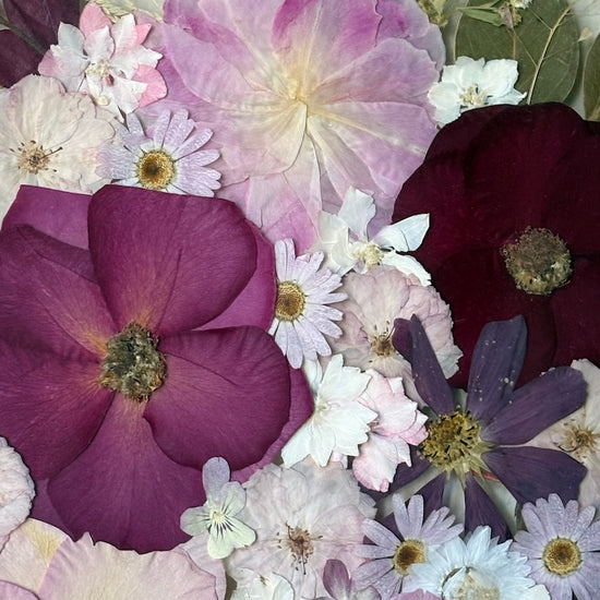 The lure of warm flowers