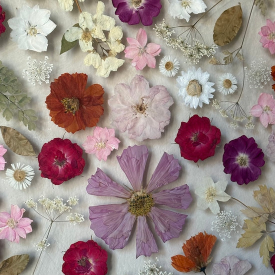 In the whirlwind of spring joy