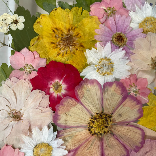 Magical flowers