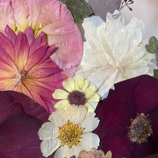 Views into the flowers of autumn