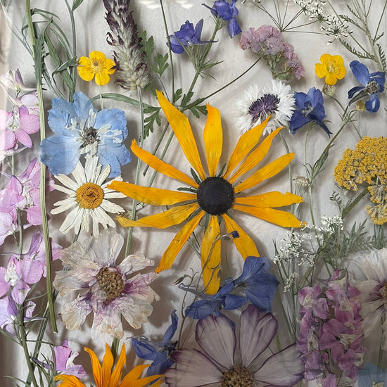 A meadow where all wishes come true