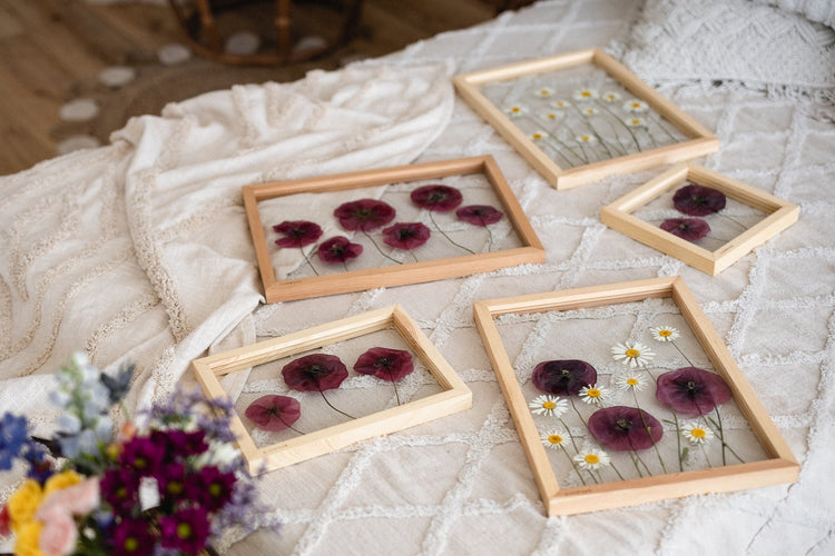Poppy and meadow collection