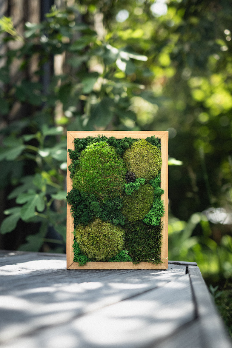 Moss