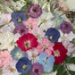 Spring party