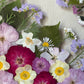 Spring party