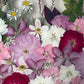 Spring party