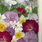In the flower of tenderness