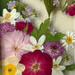 In the flower of tenderness
