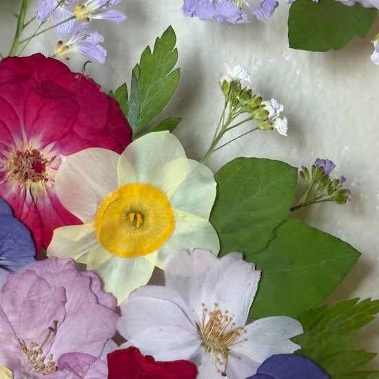 In the flower of tenderness
