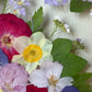 In the flower of tenderness