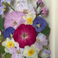 In the flower of tenderness