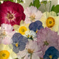 In the flower of tenderness
