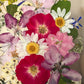 In the flower of tenderness
