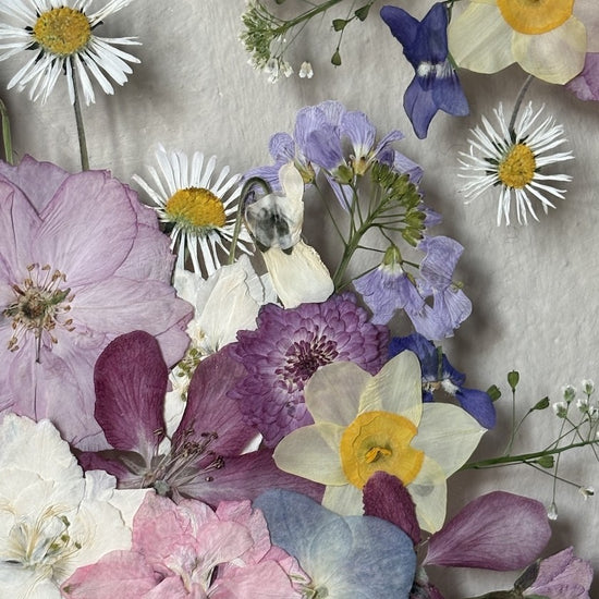 Tricolor symphony of flowers