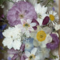 In the flower of tenderness
