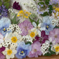 Spring party