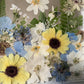 The delicacy of each flower