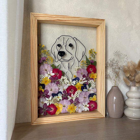 A furry friend