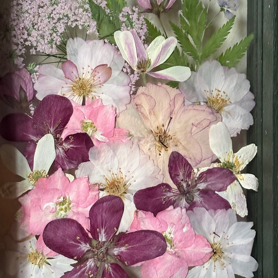 In the flower of tenderness