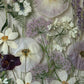Magical flowers