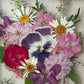 Tricolor symphony of flowers