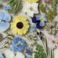 Spring party