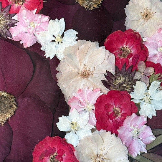 Roses full of tenderness