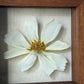 In the flower of tenderness