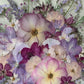 Summer in the village