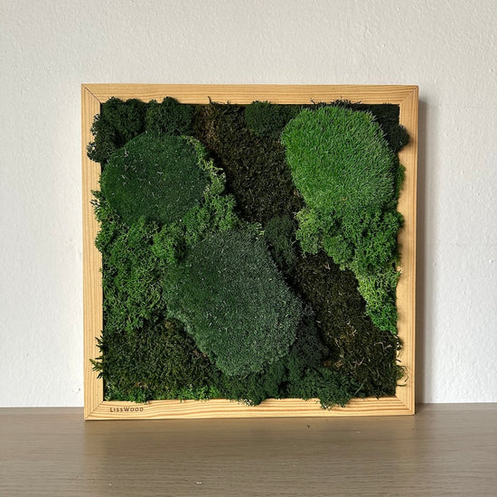 From moss and ferns