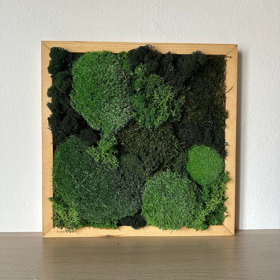 Moss cushions