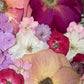 With touches of red roses