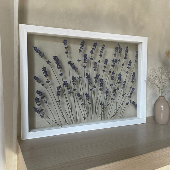 Lavender mound