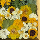 Sunlit - set of paintings 3x S (Copy)