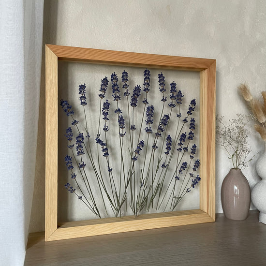 Lavender Valley