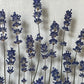 You are my lavender