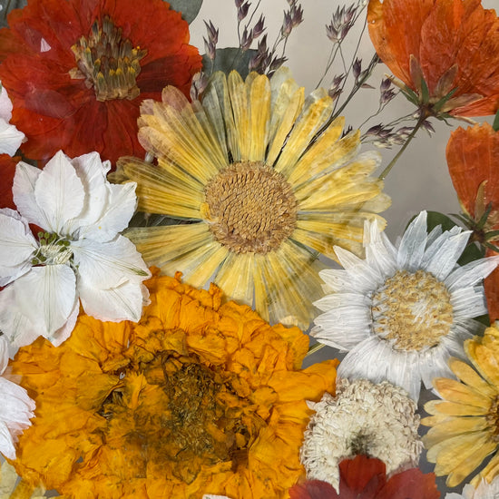 Amber floral growth