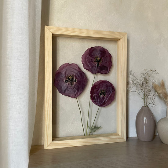 Poppy seeds