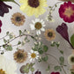 Like a sublime floral ornament