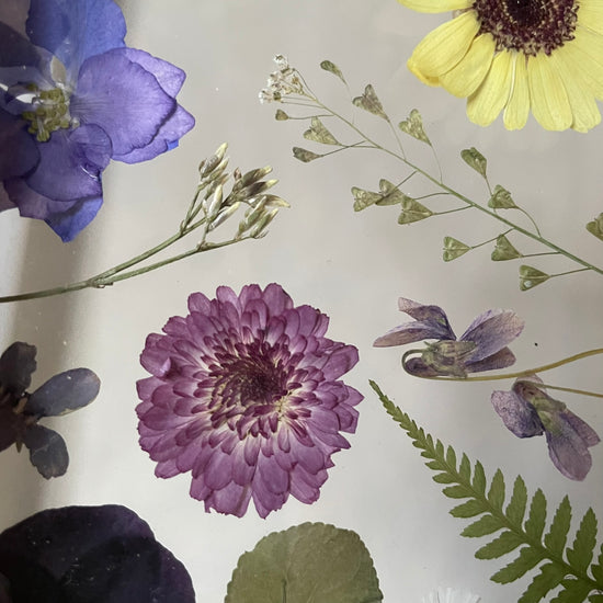 Soul of flowers