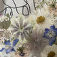 Jurassic flower