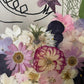 Floral prehistory