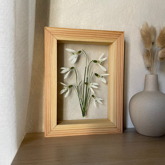 Lavender from Křivoklátsko