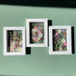 Sunlit - set of paintings 3x S (Copy)