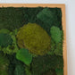 Mossy tree